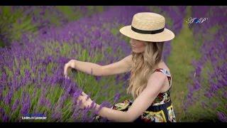 Ladies In Lavender - JOSHUA BELL