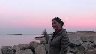 Art as Activism Film Fest: Plum Island Erosion