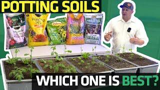 Which Potting Soil Is Best? Collection 1