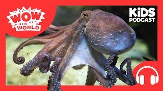 20,000 Octopuses  & An Underwater Volcano!  | PODCAST FOR KIDS  | Wow in the World FULL EPISODE