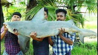 50 Kg SHARK FISH RECIPE | Shark Fish Curry | Cooking Skill Village Food Channel