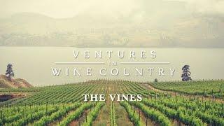 Ventures in Wine Country | Episode 1: The Vines