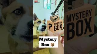 Kya Nikla Mystery Box Se ?  | #492