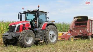 MASSEY FERGUSON 8S.265 Tractor Harvesting Corn