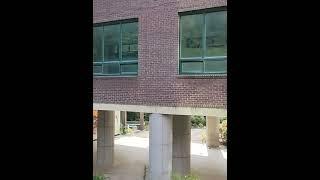 폐교 전 아름다운 캠퍼스를 갖췄던 한중대학교, 폐교 후 5년 뒤 현재모습 #한중대학교 #폐교