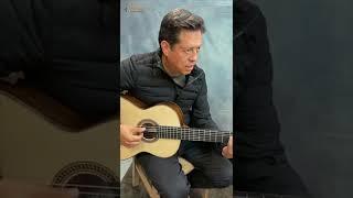 Kiko Cibrián, Guitarrista de Luis Miguel, con Guitarra Vivar | Instrumentos Vivar