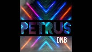 DNB PETRUS - PHIBES VIBE REMIX 2023