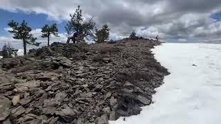 Моменты двухдневного похода. 05/24/24 Tahoe National Forest