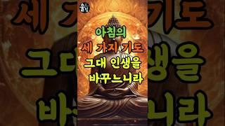 #부처님말씀 #부처님가르침 #마음수행 #불교명언 #오디오북