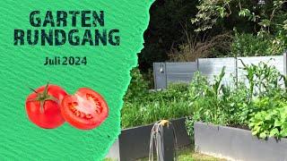 Gartenrundgang im Juli 2024