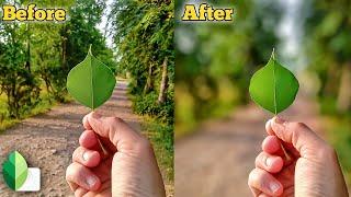 Blur Photo Editing | DSLR Blur Background in Snapseed | Blur Background Editing | 2 min | Tech Idea