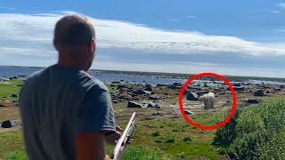 6 Polar Bear Encounters That Will Shock You