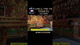 눈에는 눈, 이에는 이로 갚음을 당하는 인과 이야기 [옥천암 관룡스님의 인과이야기]