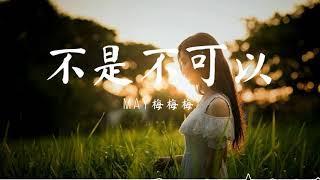 不是不可以 - May梅梅梅 『啦啦啦~说我爱你 / 忘了你不是不可以。』【動態歌詞/Pinyin Lyrics】