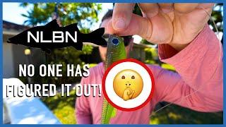 Secret Way To Rig NLBN Lil Mullet To Land More Fish!