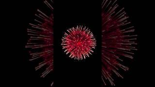 Fire Crackers | 8 Firework Display Shell | Diwali Rockets