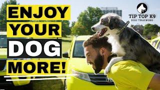 Enjoy Your Dog More | Tip Top K9