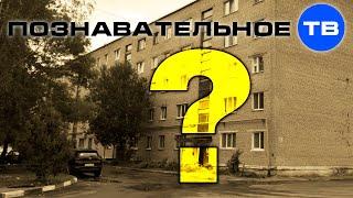 Почему советские строители не закопали хрущёвки? (Познавательное ТВ, Артём Войтенков)
