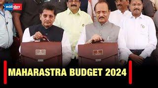 Maharashtra Budget 2024: Deputy CM Ajit Pawar presents budget, Here are major highlights