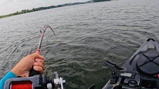 HUGE Catfish SLAMS Kayak Rod