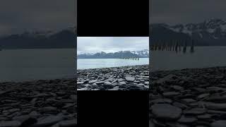 Alaska Kayaking