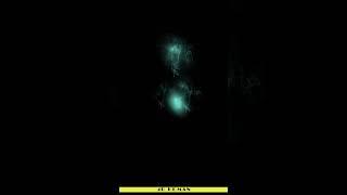 V컬러링 - 영혼의 빛 (승인불가)