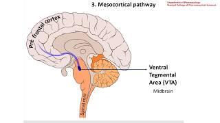 CNS-4 Dopaminergic and Serotonergic Neuro-transmission (BP404T)