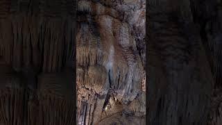 What is Speleology? #shorts #scienceeducation #earthscience #educationalvideo #discoverscience #stem