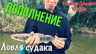 НЕУДАЧНЫЕ КАДРЫ | Судак в Астрахани! Vladimir Maslov YouTube