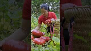 Giant Mountain of Red Pumpkins – Harvest Day Madness! 
