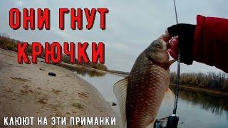 караси гнут крючки на микроджиг/рыбалка перед зимой 2022
