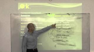Психометрический экзамен. Аналогии (словесное мышление).