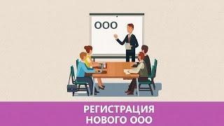 Регистрация ООО | Как открыть ООО самостоятельно: пошаговая инструкция