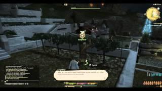 [PC] Final Fantasy XIV ARR (Ardonis) - 13 It Won't Work