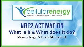 NRF2 Activation: What is it & What does it do?