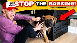 Puppy Training- Why I ALMOST Gave Up Crate Training My Puppy!- Puppy Training Guide