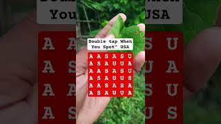 Double tap When You Spot" USA #search #brainteaser #quiz