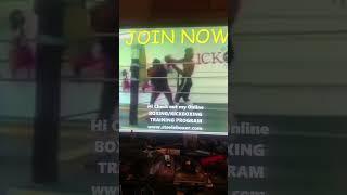 STEELEBOXER ONLINE BOXING TRAINING PROGRAM www.steeleboxer.com