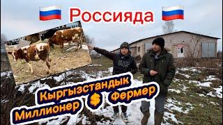 Россияда Кыргызстандык Миллионер Фермер