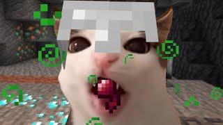 Random Cats Being Silly in Minecraft