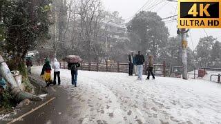 Shimla Walking Tour in Snowfall ️ - December 2024