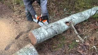 Stihl MSA 300 , fast but not furious