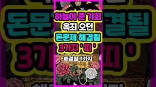 하늘이 준 기회!! 옥죄오던 돈문제 해결될 3가지띠는? #로또 #재물운 #띠별운세 #신점 #타로 #오늘의운세