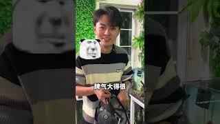 挑战养100种鱼之食人鱼 #食人鱼 #鲁伟学长 #挑战养100种鱼