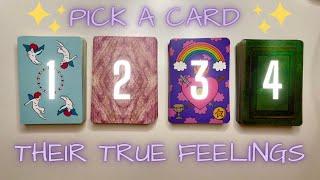 HOW THEY CURRENTLY FEEL ABOUT YOU| Pick a Card In-Depth Love Tarot Reading