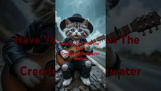 Cat Performing Have You Ever Seen The Rain by Creedence Clearwater Revival #catshorts #cat #crazycat