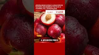 [한정판매] 과일의꽃 신비복숭아 신선복숭아 한정수량 딱2주만판매 고당도껍질째복숭아 지금 아니면 1년 기다려야해요, 1박스, 신비복숭아2kg(대과)