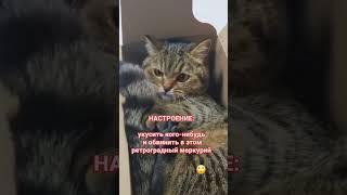 Мое настроение на сегодня