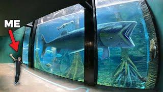 LARGEST AQUARIUM IN SOUTH AMERICA!! - (Private Tour)