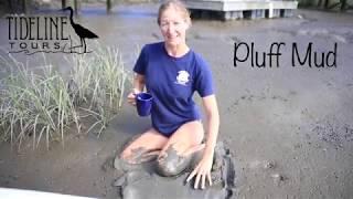 Tideline Tours takes a trip to the Pluff Mud in today's virtual tour